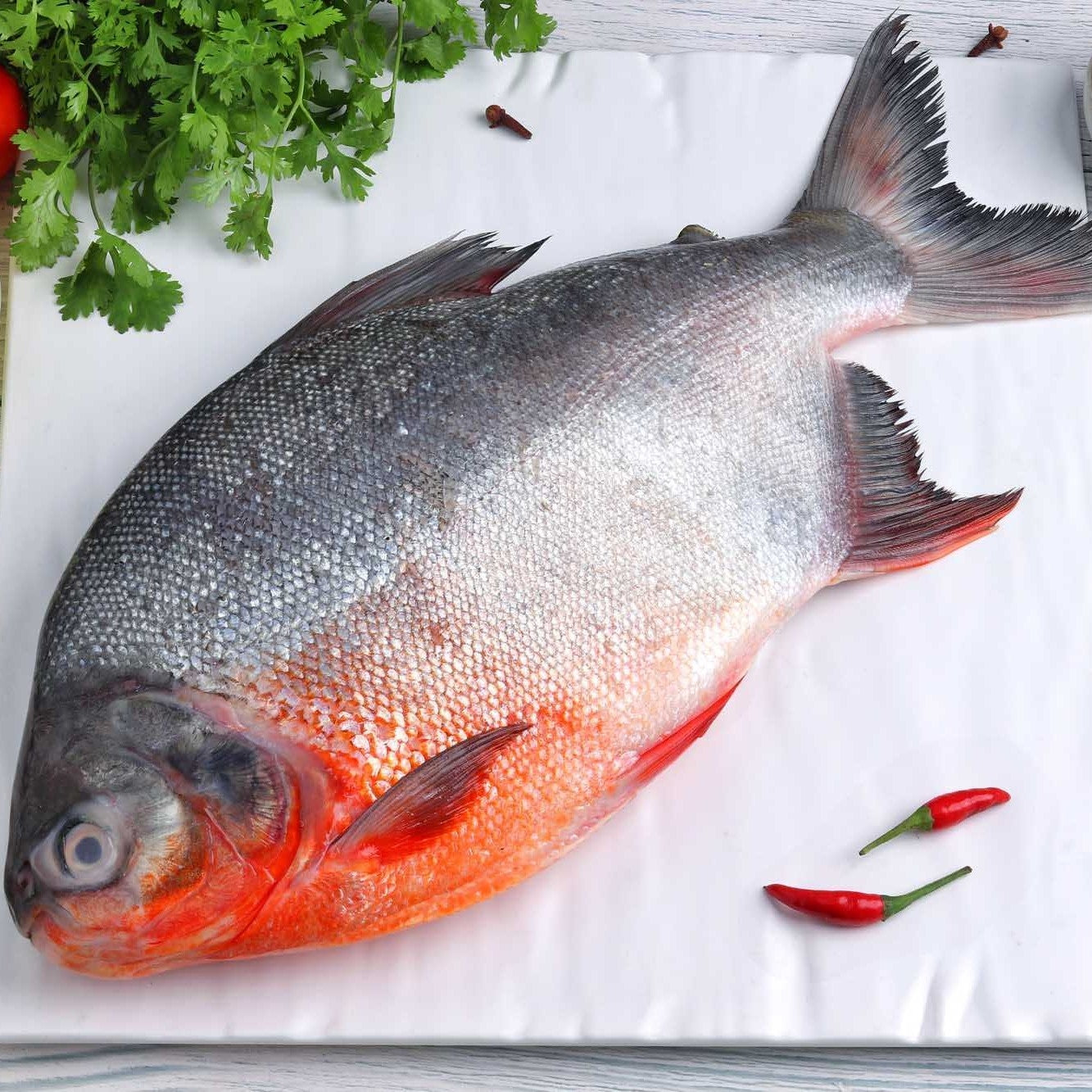 Roopchand / River Pomfret