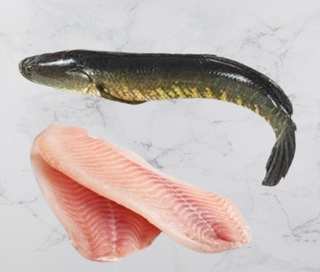 Murrel / Kora Meenu (Cut Fish Per Kg)